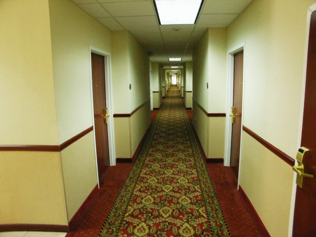 Quality Inn Zephyrhills-Dade City Buitenkant foto